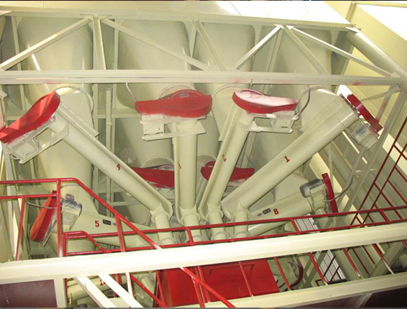 ���Ϲ���